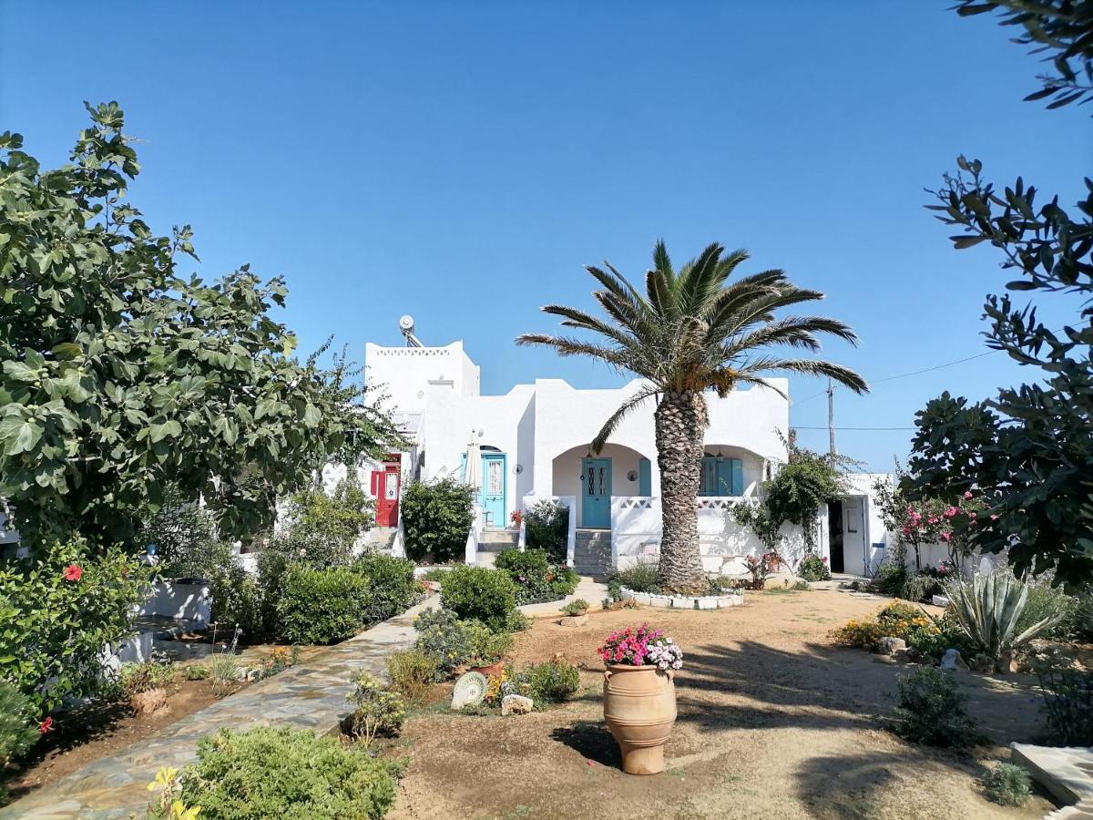 Nyfes Traditional Boutique Faltaina Σκύρος Εξωτερικό φωτογραφία
