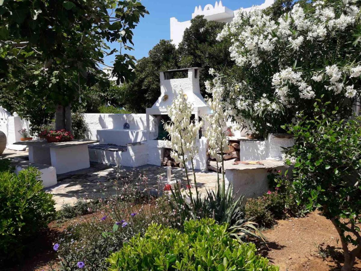 Nyfes Traditional Boutique Faltaina Σκύρος Εξωτερικό φωτογραφία