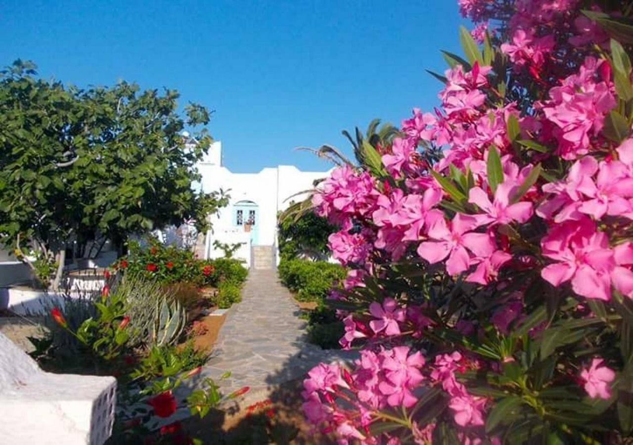 Nyfes Traditional Boutique Faltaina Σκύρος Εξωτερικό φωτογραφία